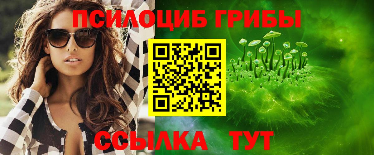 Видное  Галлюциногенные грибы GOLDEN TEACHER  Галлюциногенные грибы прущие грибы  Вход с VPN 